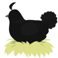 New Moon, a black and sable chicken with a neck-speckle pattern