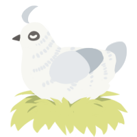 REREO, a white and mist chicken with a half-bar pattern