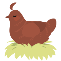 potato world tour, a russet chicken with a half-bar pattern