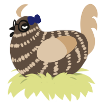 Tawnie, a bark and beige chicken with a bar pattern