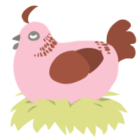 Not ugly, a rose and russet chicken with a neck-band pattern