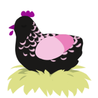 Know Star, a sable and pink chicken with a half-lace pattern
