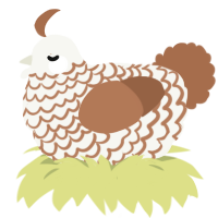 A white and brown chicken with a lace pattern