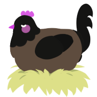 A bark and black chicken with a head pattern
