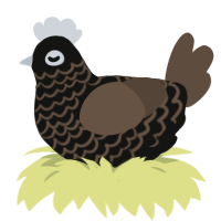 Apple Diamond, a black and bark chicken with a lace pattern