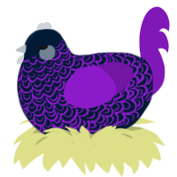 A tumblr and violet chicken with a double-lace pattern