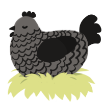 A grey and sable chicken with a lace pattern