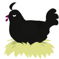 A black chicken with a double-lace pattern