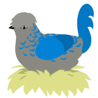 A ash and sapphire chicken with a half-lace pattern
