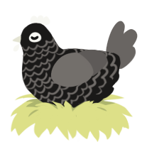 Ashen Beast, a sable and grey chicken with a lace pattern