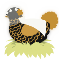 Temperance, a black and gold chicken with a lace pattern