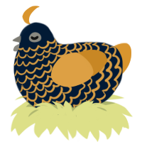 A tumblr and orange chicken with a lace pattern