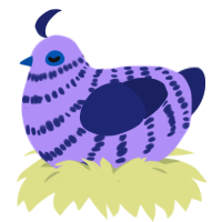 Tee, a lilac and navy chicken with a bar pattern