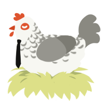 A white and ash chicken with a half-lace pattern