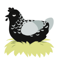 Ink, a black and silver chicken with a half-lace pattern