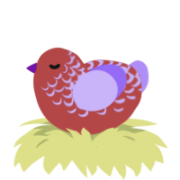 sunburnt and angry, a red and lilac chicken with a half-lace pattern