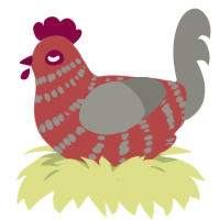 A red and ash chicken with a bar pattern
