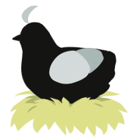 A black and silver chicken