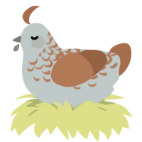 Mixed Rice, a silver and brown chicken with a half-lace pattern