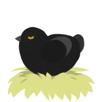 Bille, a rose and apple chicken with a lace pattern