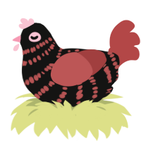 Null, a black and red chicken with a bar pattern