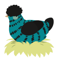 A teal and sable chicken with a bar pattern