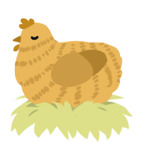 Goldie, a honey and gold chicken with a bar pattern
