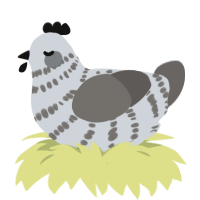 Pigeon, a mist and grey chicken with a bar pattern