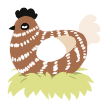 Latte, a brown and cream chicken with a bar pattern
