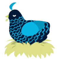 A tumblr and cerulean chicken with a lace pattern