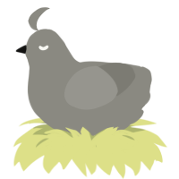 grainlist, a ash chicken