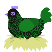 (unnamed), a black and leaf chicken with a double-lace pattern