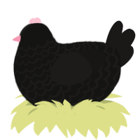 A black and sable chicken with a lace pattern