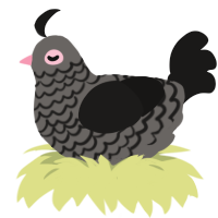 Pigeon6, a grey and sable chicken with a lace pattern