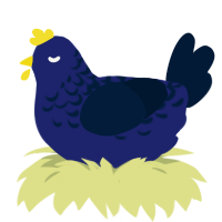 Gabby, a navy and tumblr chicken with a half-lace pattern