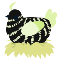 Wild Rice, a black and apple chicken with a bar pattern