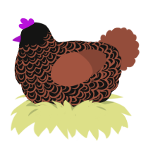 A black and russet chicken with a double-lace pattern