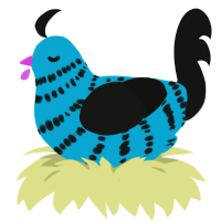 Freak, a cerulean and black chicken with a bar pattern
