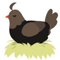 (unnamed), a sable and bark chicken with a head pattern