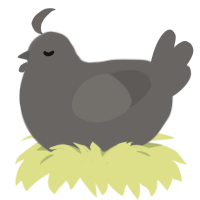 basalt, a grey chicken