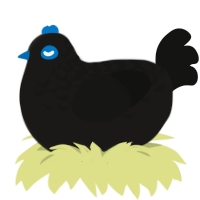 blackhole, a sable and black chicken with a half-lace pattern