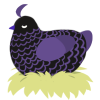 YaBoi, a sable and overcast chicken with a lace pattern