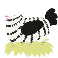BirchTree, a white and sable chicken with a bar pattern