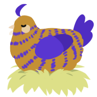 A gold and indigo chicken with a bar pattern