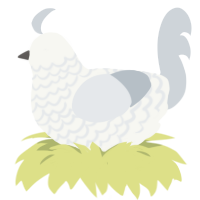 Flour, a white and mist chicken with a lace pattern