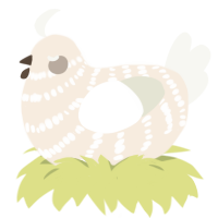 Disgrace, a cream and white chicken with a bar pattern