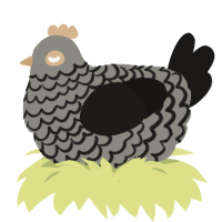 (unnamed), a ash and sable chicken with a lace pattern