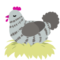 (unnamed), a silver and grey chicken with a bar pattern