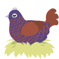 A overcast and russet chicken with a lace pattern