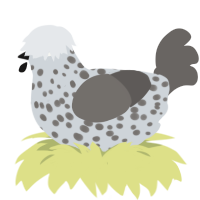 (unnamed), a mist and grey chicken with a speckle pattern